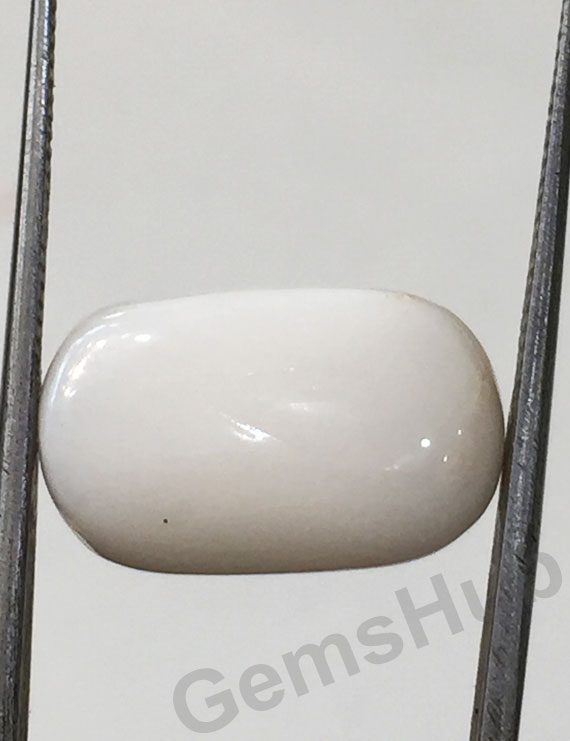9.86 ct Natural Certified  White Coral/सफ़ेद मूंगा
